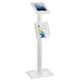 Universele tablet vloerstandaard Anti-diefstal voor iPad 2, iPad 3, iPad 4, iPad Air Maclean MC-724