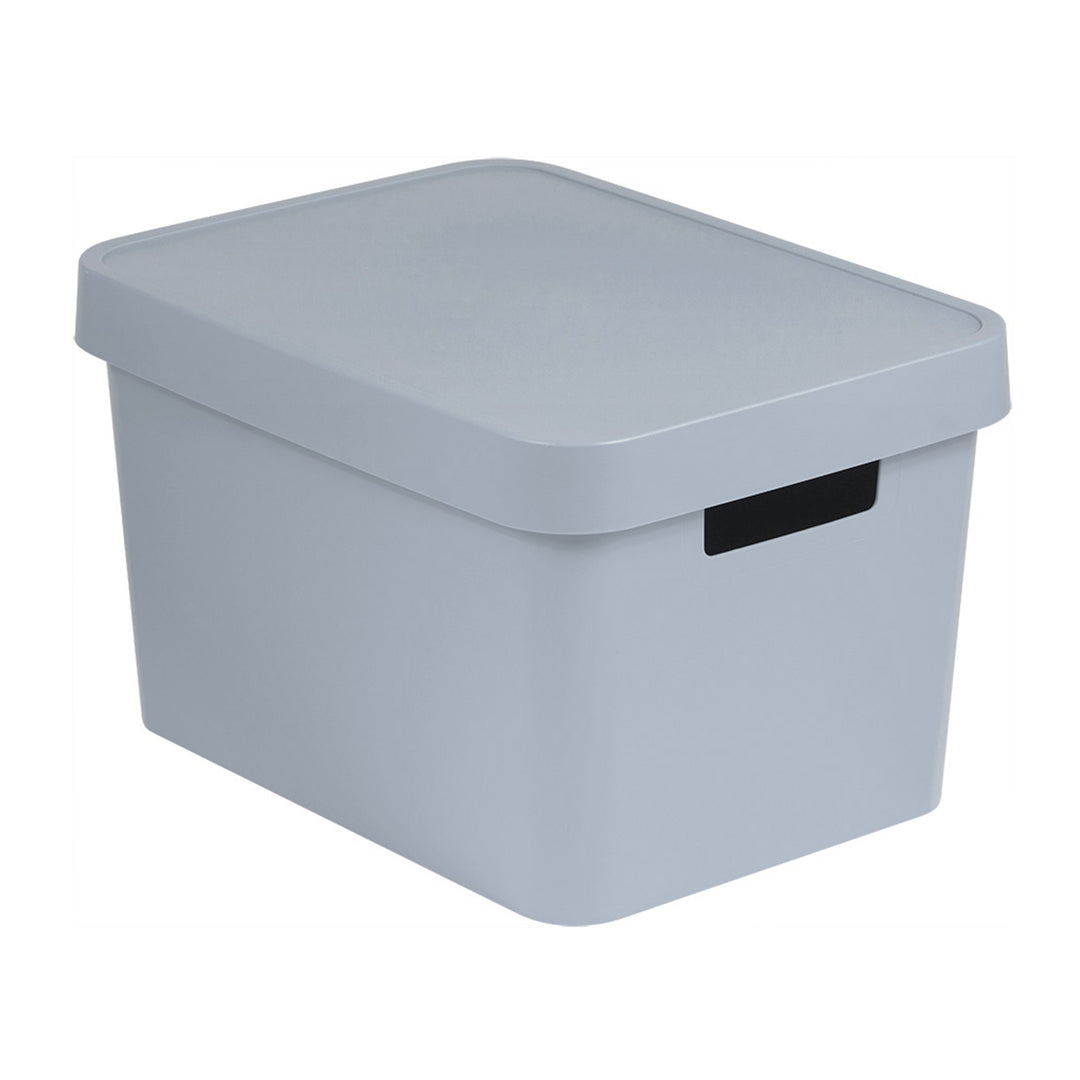 Opbergbox met deksel Curver Infinity 17L grijs