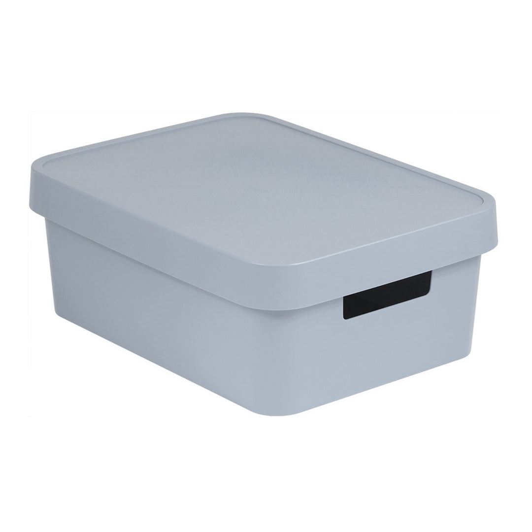 Opbergbox met deksel Curver Infinity 11L grijs