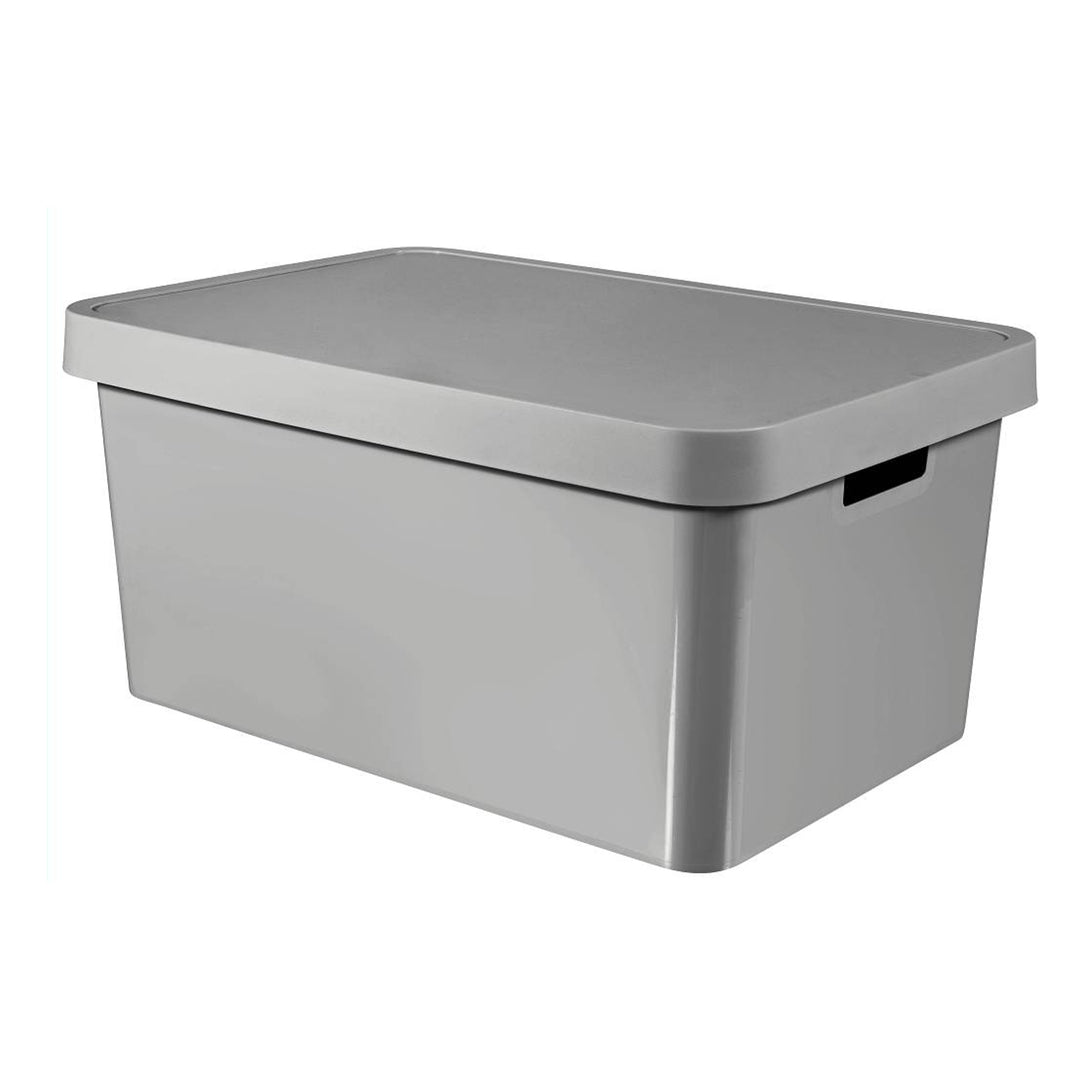 Curver 233941 Infinity Opbergbox met deksel 45L Grijs met Handgrepen