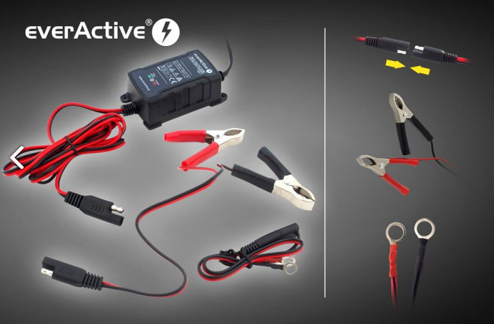 Oplader oplader 6V / 12V everActive CBC-1