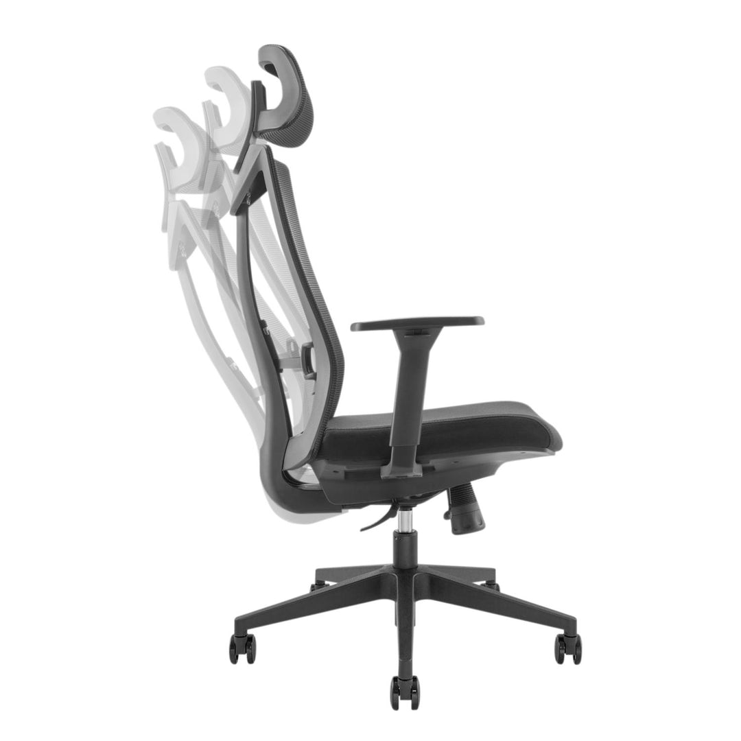 Ergo Office -  Ergonomische Bureaustoel met wielen en lendensteun - max. belasting 150 kg