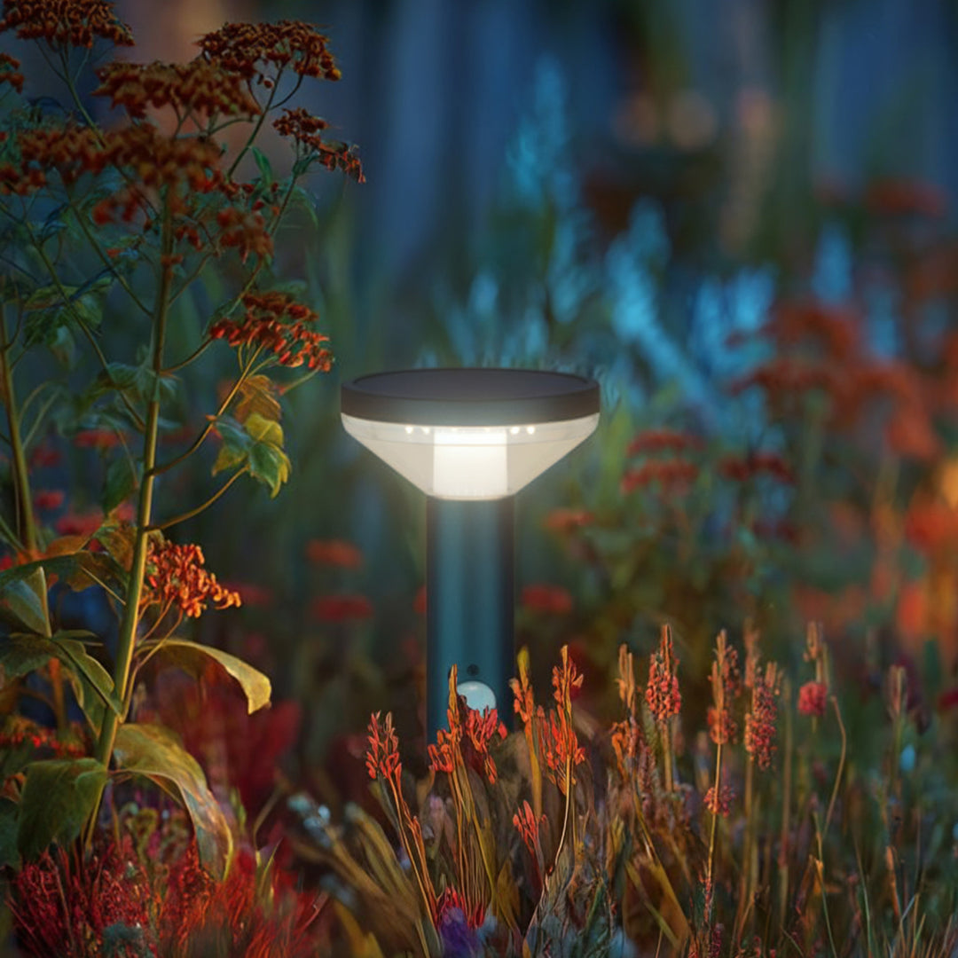 Maclean / LED - solar tuinlamp met sensor - Kleur Zwart