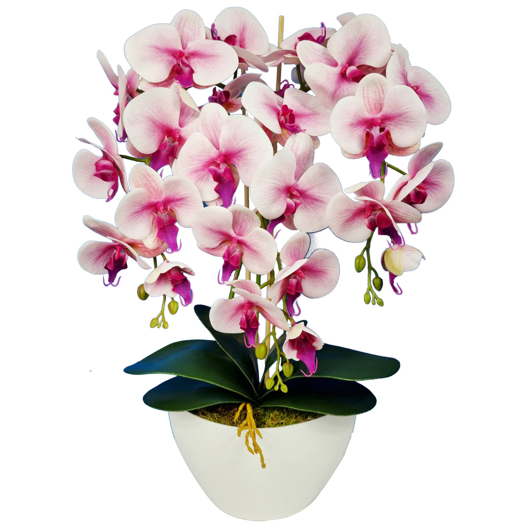 Orchidee kunstbloemen Orchidee roze zoals levend 3pgrj