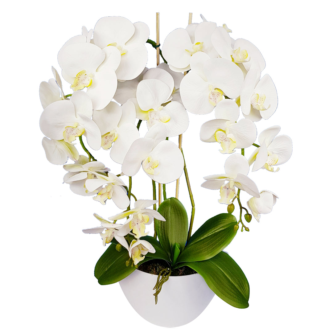 Orchidee kunstbloemen Orchidee wit als levend rubber 3pgb