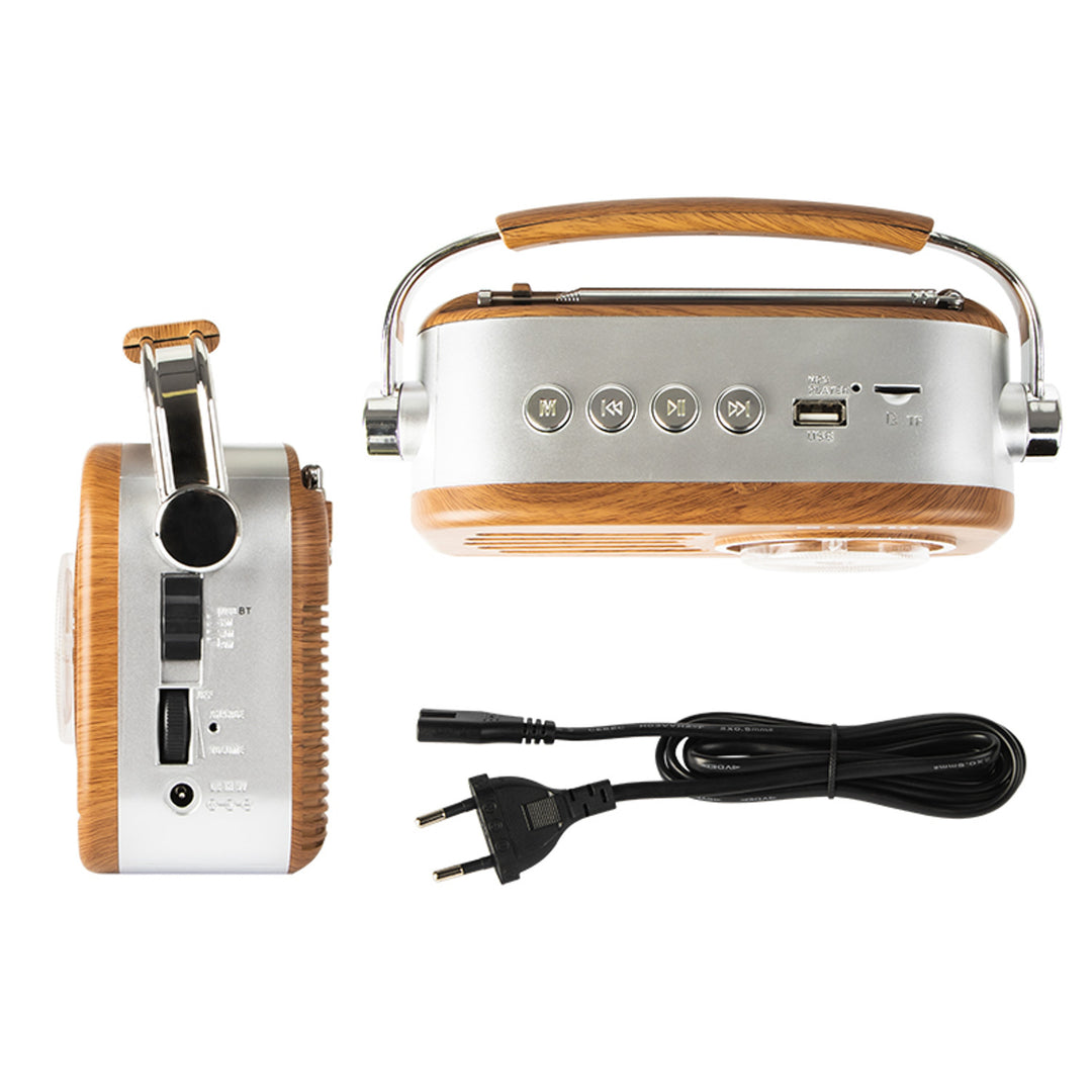 Draagbare analoge AM/FM Bluetooth-radio RA3 batterij en netvoeding Blow