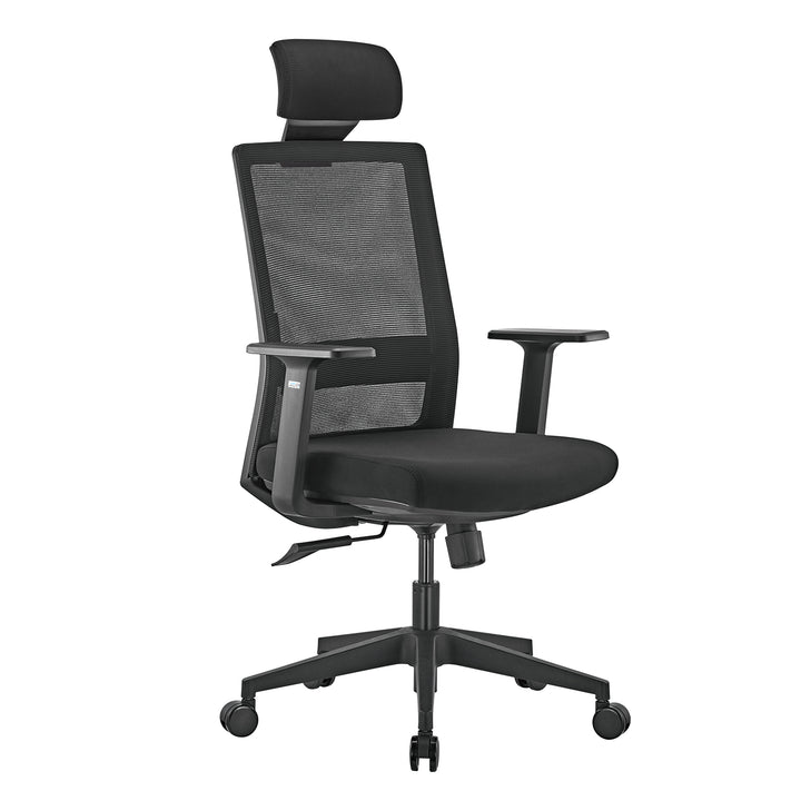 Ergonomische bureaustoel met hoge rug Ergo Office, max 150kg, ER-425