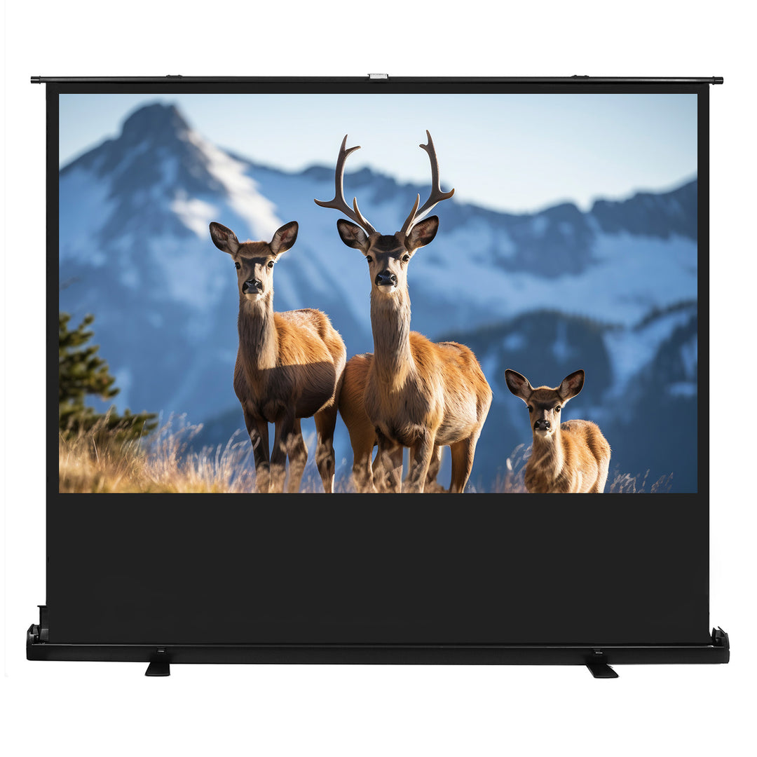 Draagbaar projectiescherm Maclean, compact, vloer, 100", 16:10, MC-213