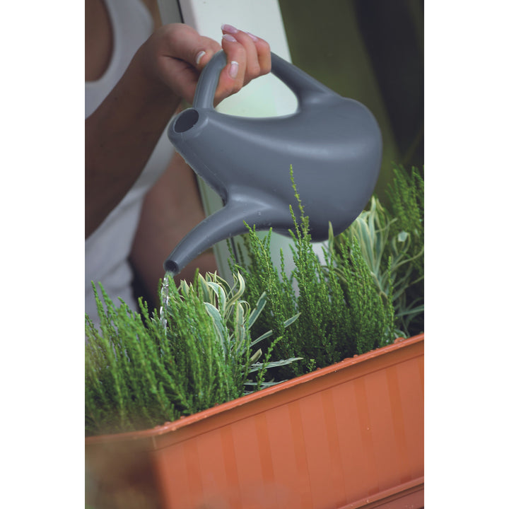Prosperplast gieter, voor bewatering, 1,5l, antraciet, Eos