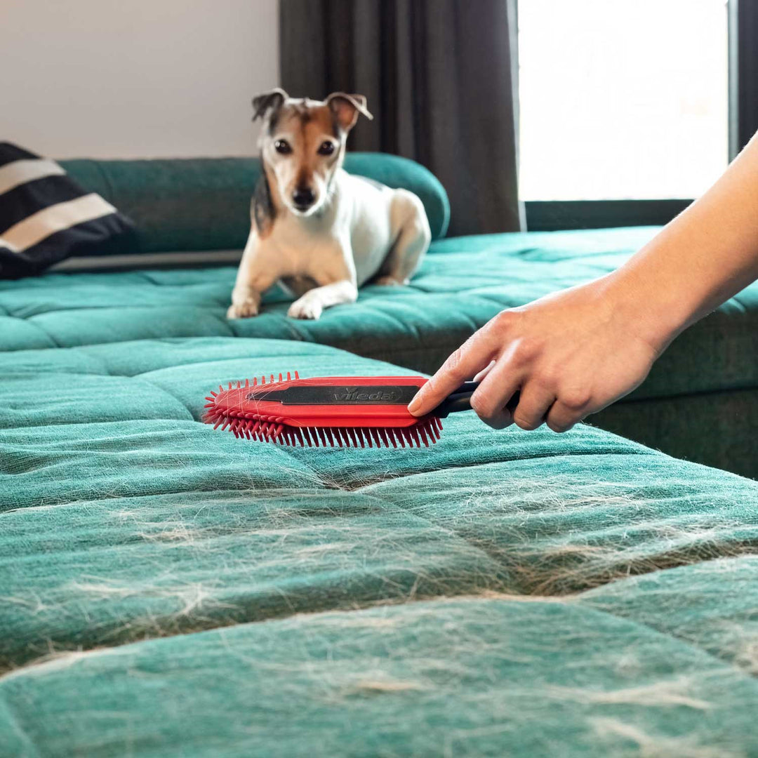 Vileda borstel, elektrostatisch, voor haar en vacht, Pet Pro