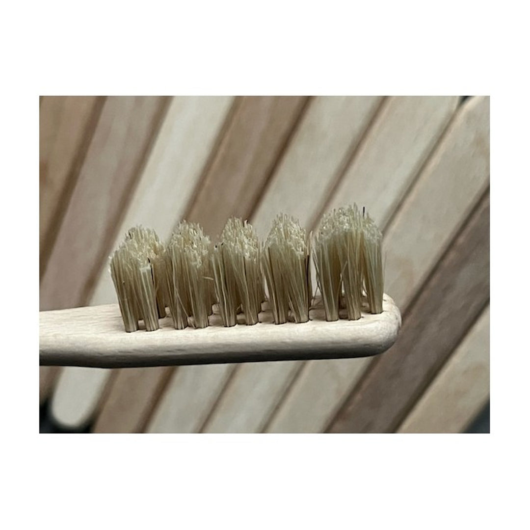 Starmann tandenborstel, hout, varkenshaar, SDZD