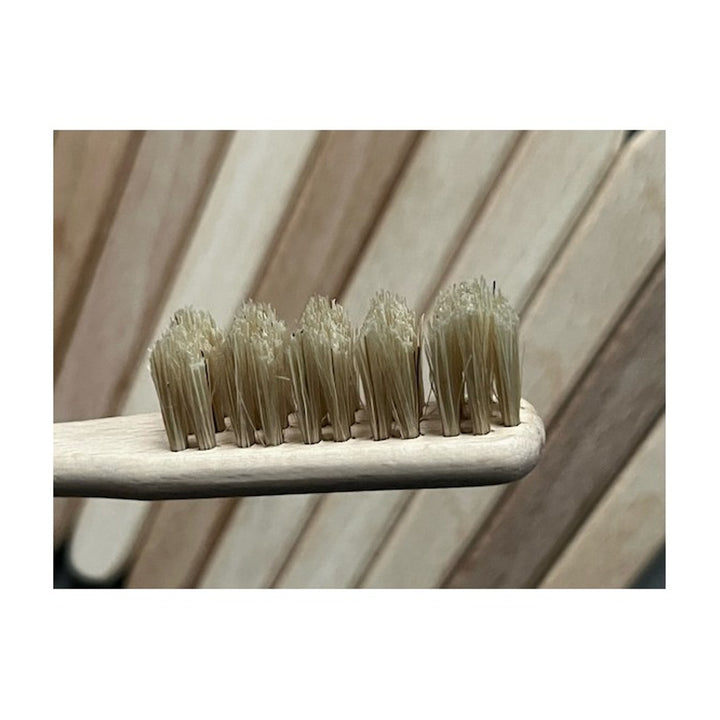 Starmann tandenborstel, hout, varkenshaar, SDZD