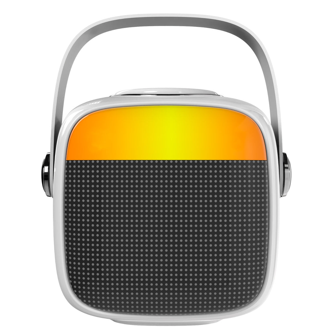 Draadloze luidspreker Adler, met microfoon, voor karaoke, Bluetooth, AD 1199 W