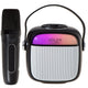 Draadloze luidspreker Adler, met microfoon, voor karaoke, Bluetooth, AD 1199 B