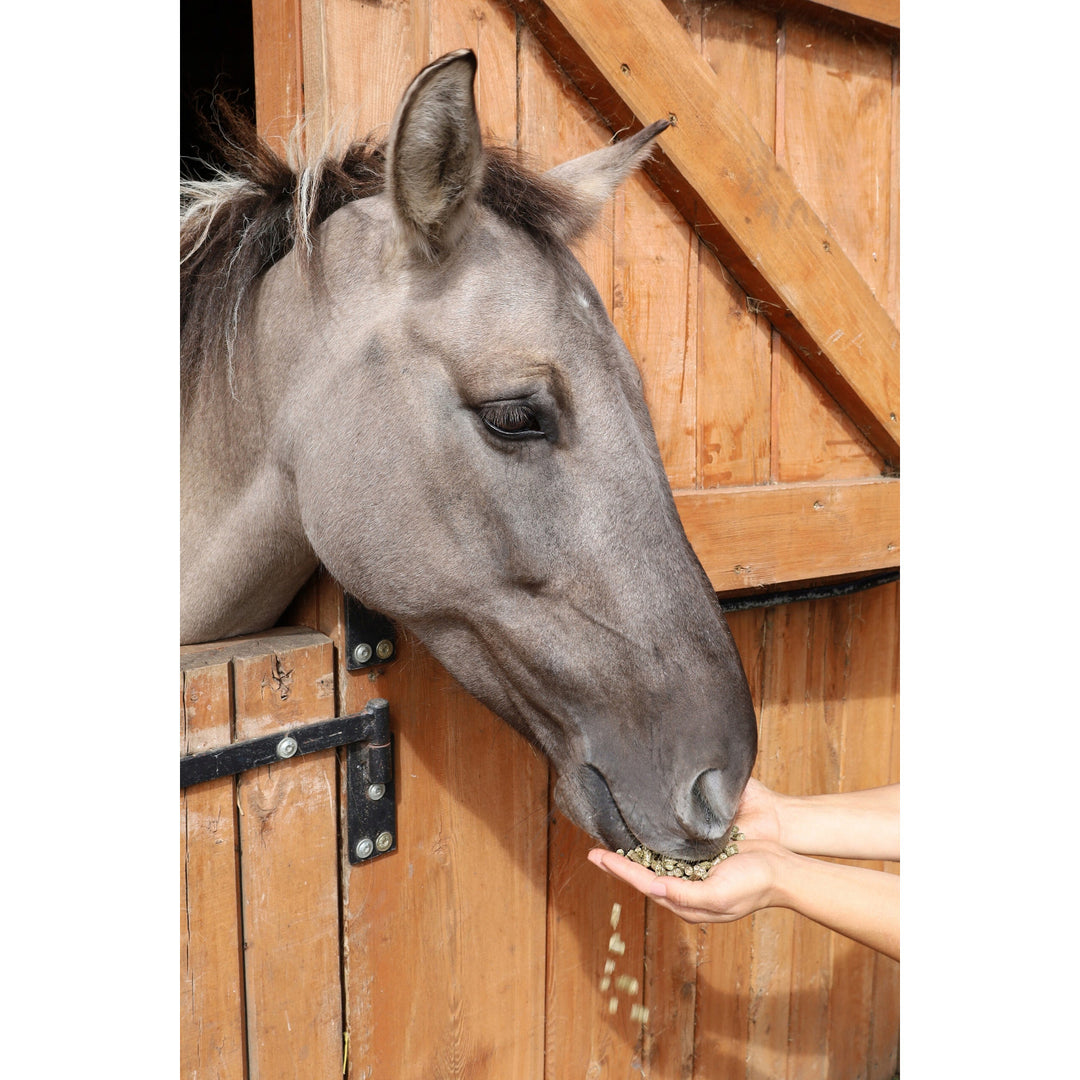 Grasballen, paardenvoer, gemaakt van gras uit het land van de meren, 15kg zak