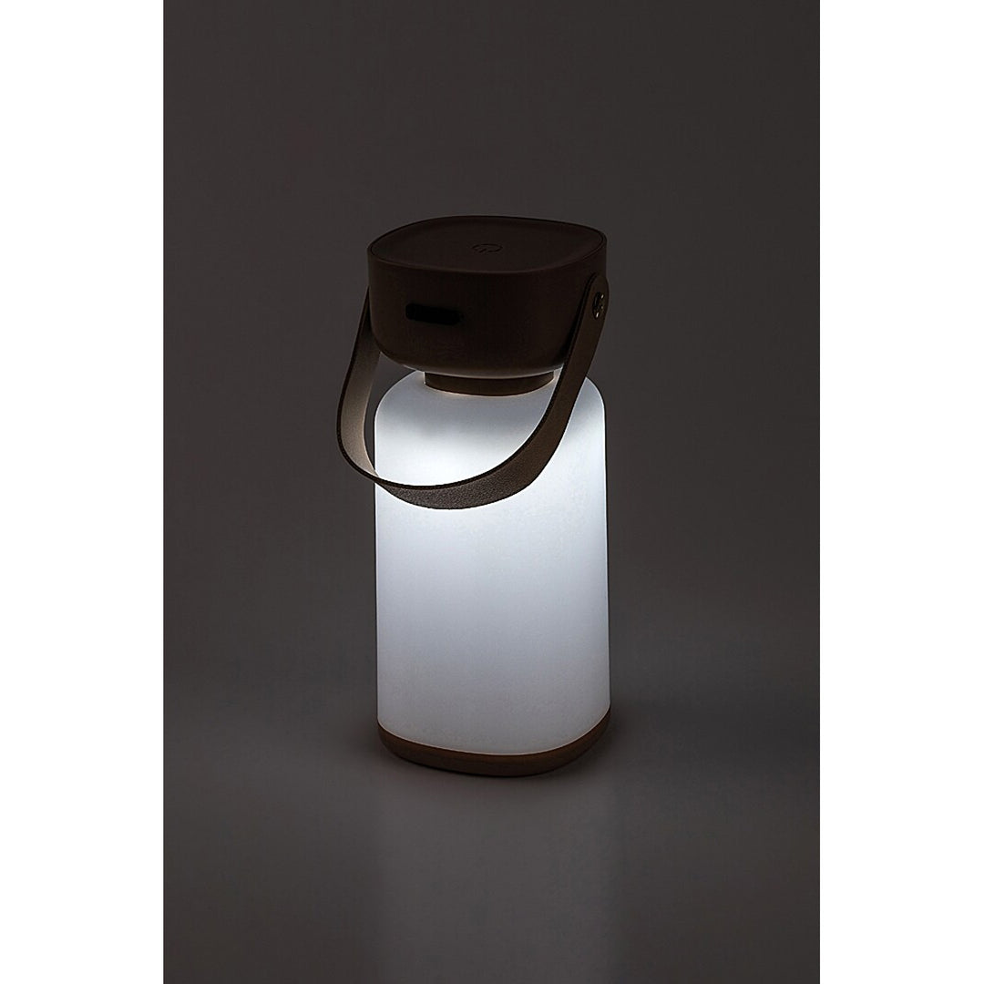 Rabalux decoratieve lamp, buiten, IP44, 3W, bruin, Funes
