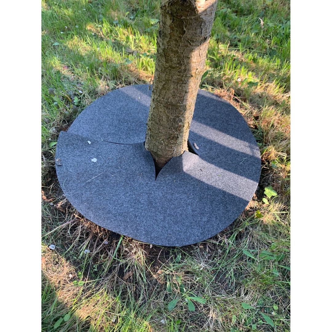 Bertoni anti-wier schijfset, 6 stuks, 50 cm, grijs
