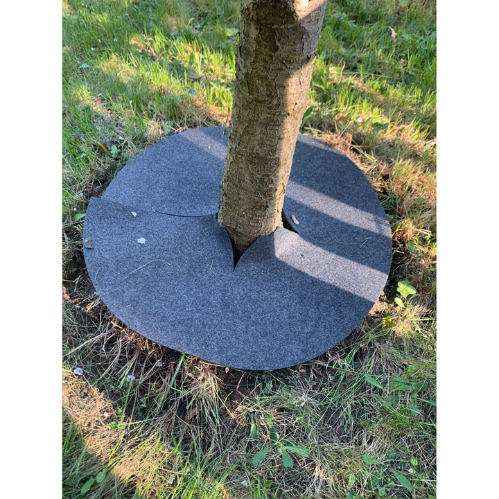 Bertoni anti-wier schijfset, 6 stuks, 50 cm, grijs