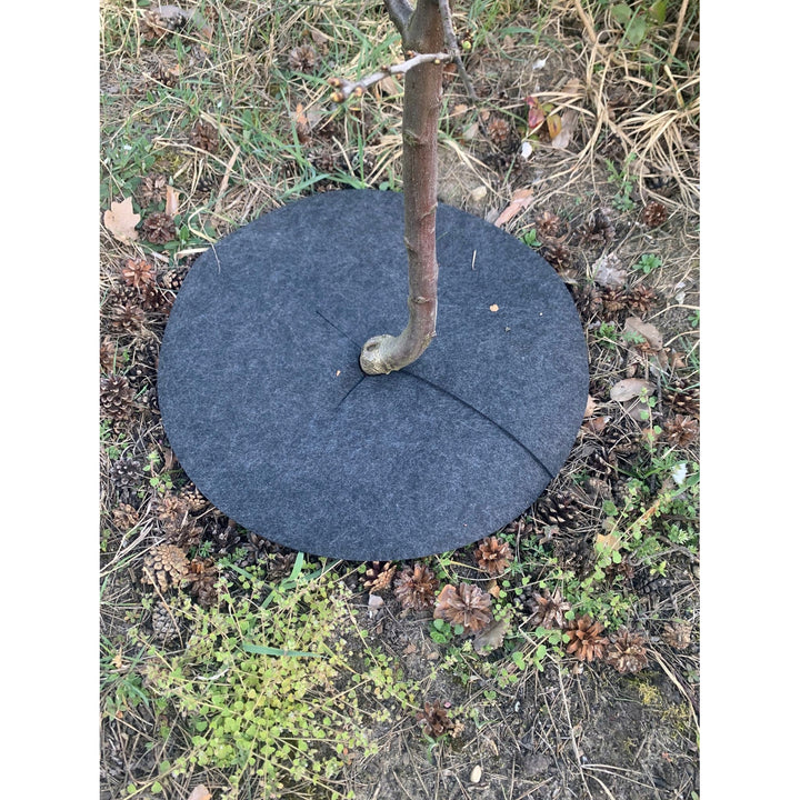 Bertoni anti-wier schijfset, 6 stuks, 60 cm, grijs