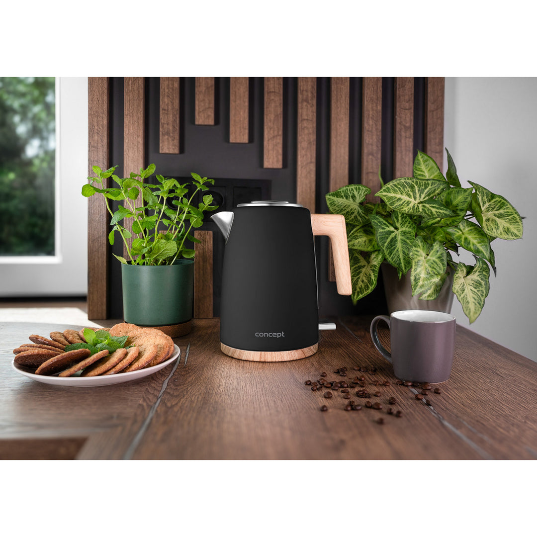 Concept ELWOOD waterkoker, roestvrij staal, 1.7L, waterniveau-indicator, RK3316