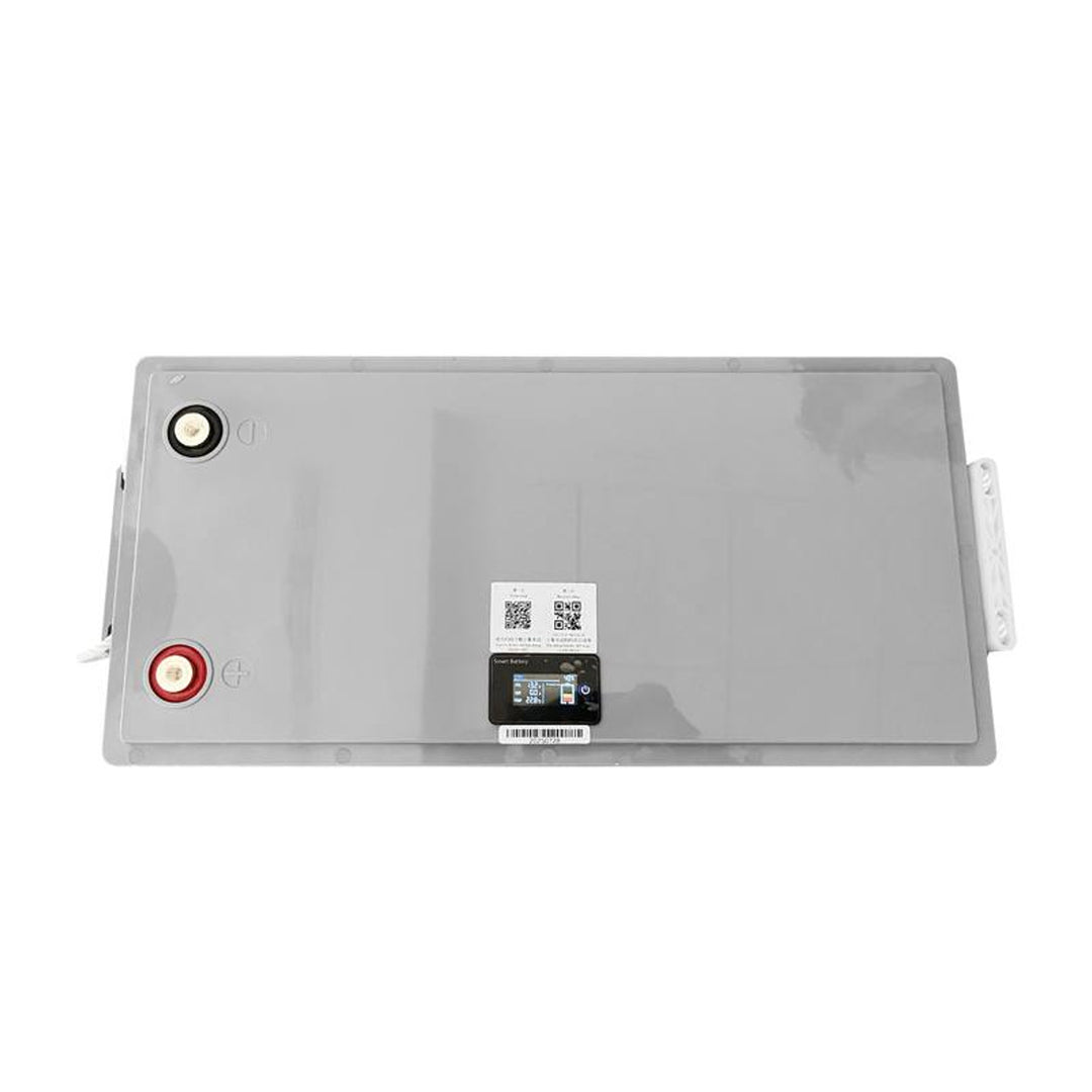 LiFePo4 Lexton lithium-ijzer-fosfaataccu, met BMS, 12,8V, 200Ah, LXLFP200