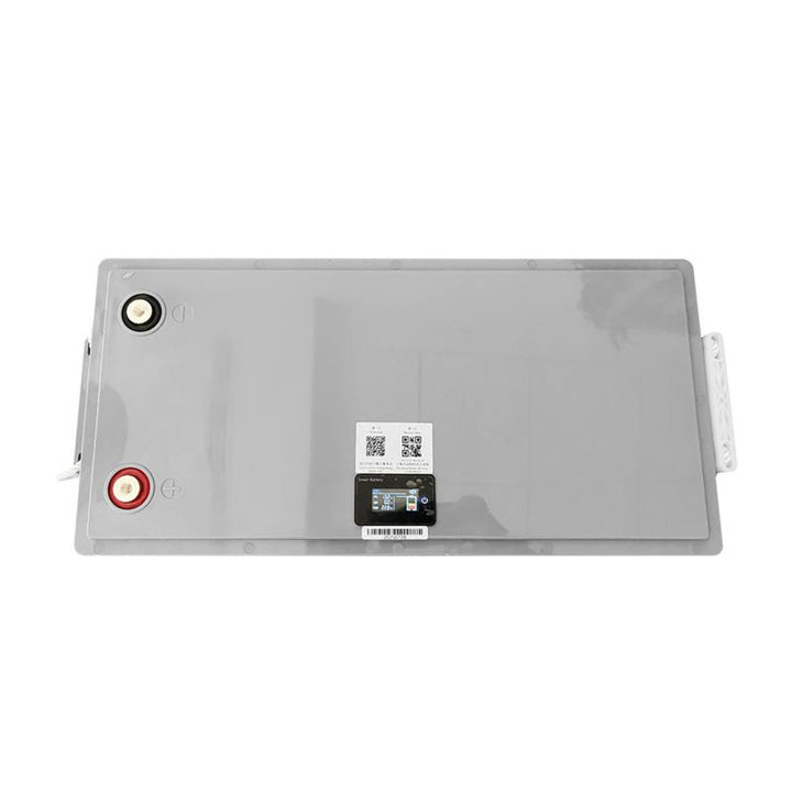 LiFePo4 Lexton lithium-ijzer-fosfaataccu, met BMS, 12,8V, 200Ah, LXLFP200
