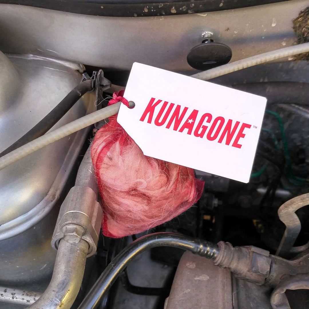 Kunagone marterafweermiddel, natuurlijk, voor auto, huis, zolder, 6 stuks
