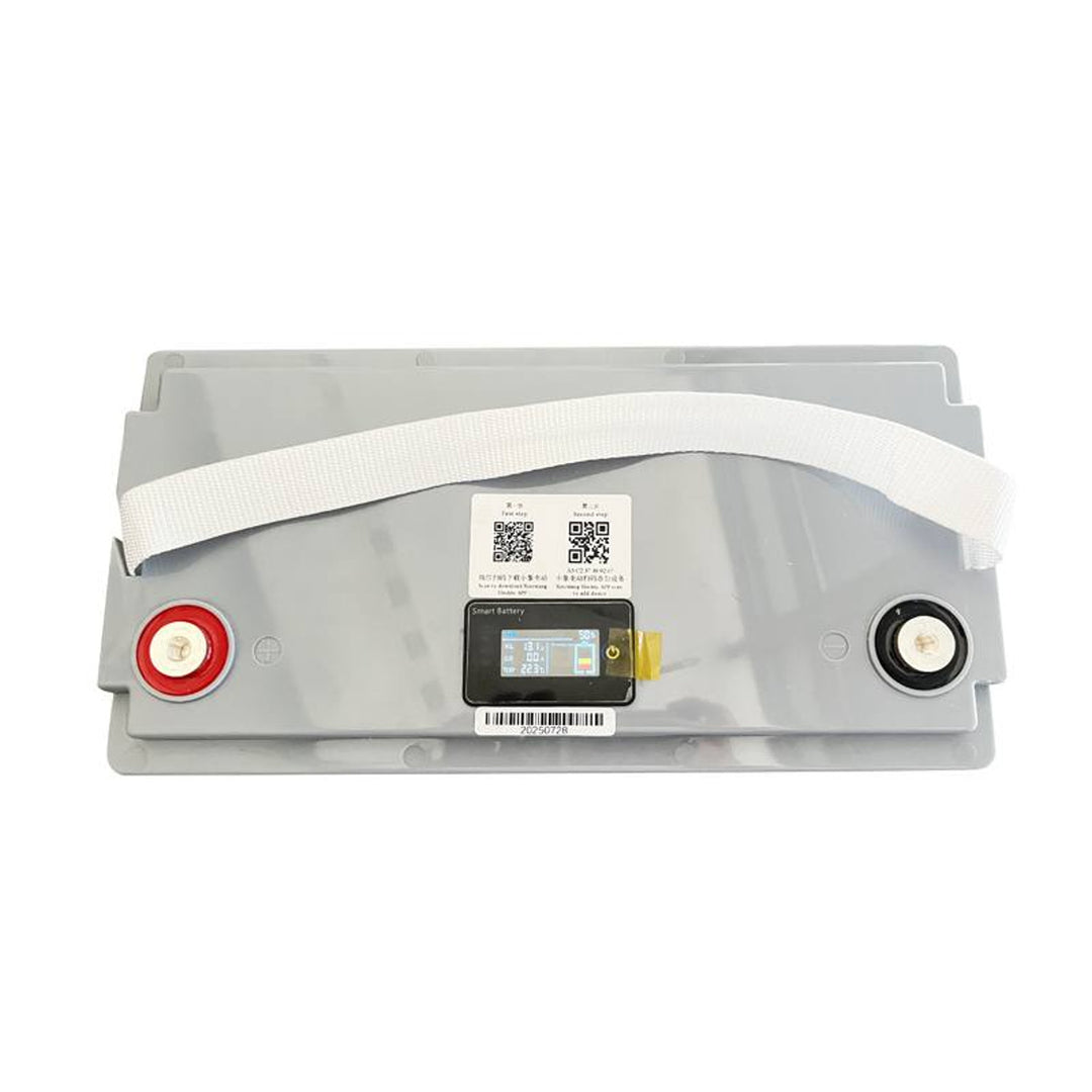 LiFePo4 Lexton lithium-ijzer-fosfaataccu, met BMS, 12,8V, 100Ah, LXLFP100 + LTC Energy LiFePO4 acculader