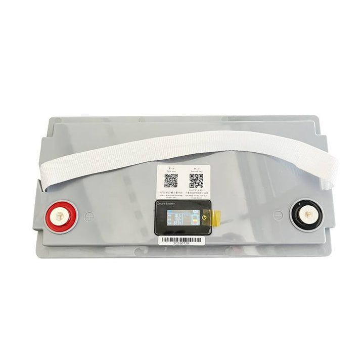 LiFePo4 Lexton lithium-ijzer-fosfaataccu, met BMS, 12,8V, 100Ah, LXLFP100 + LTC Energy LiFePO4 acculader