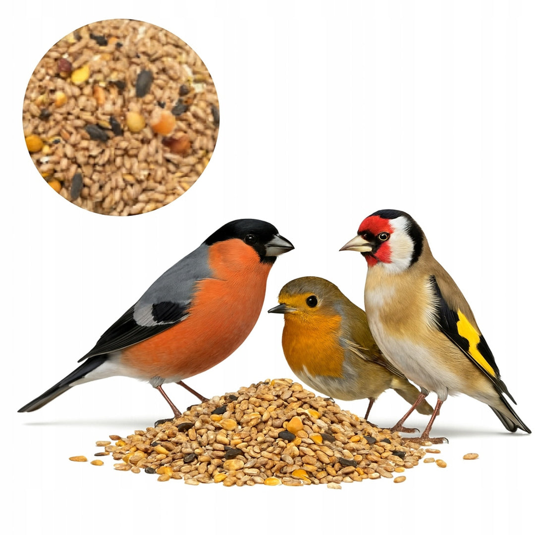 Woodok vogelvoederhuisje, hout, gebakken, ophanghaak + vogelzaad 1kg