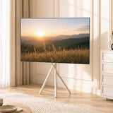 Maclean tv-beugel / vloerstandaard, 27-55", max. VESA 200x200, max. 60 kg, MC-181 W