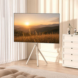 Maclean tv-beugel / vloerstandaard, 37-80", max. VESA 600x400, max. 60 kg, MC-182 W