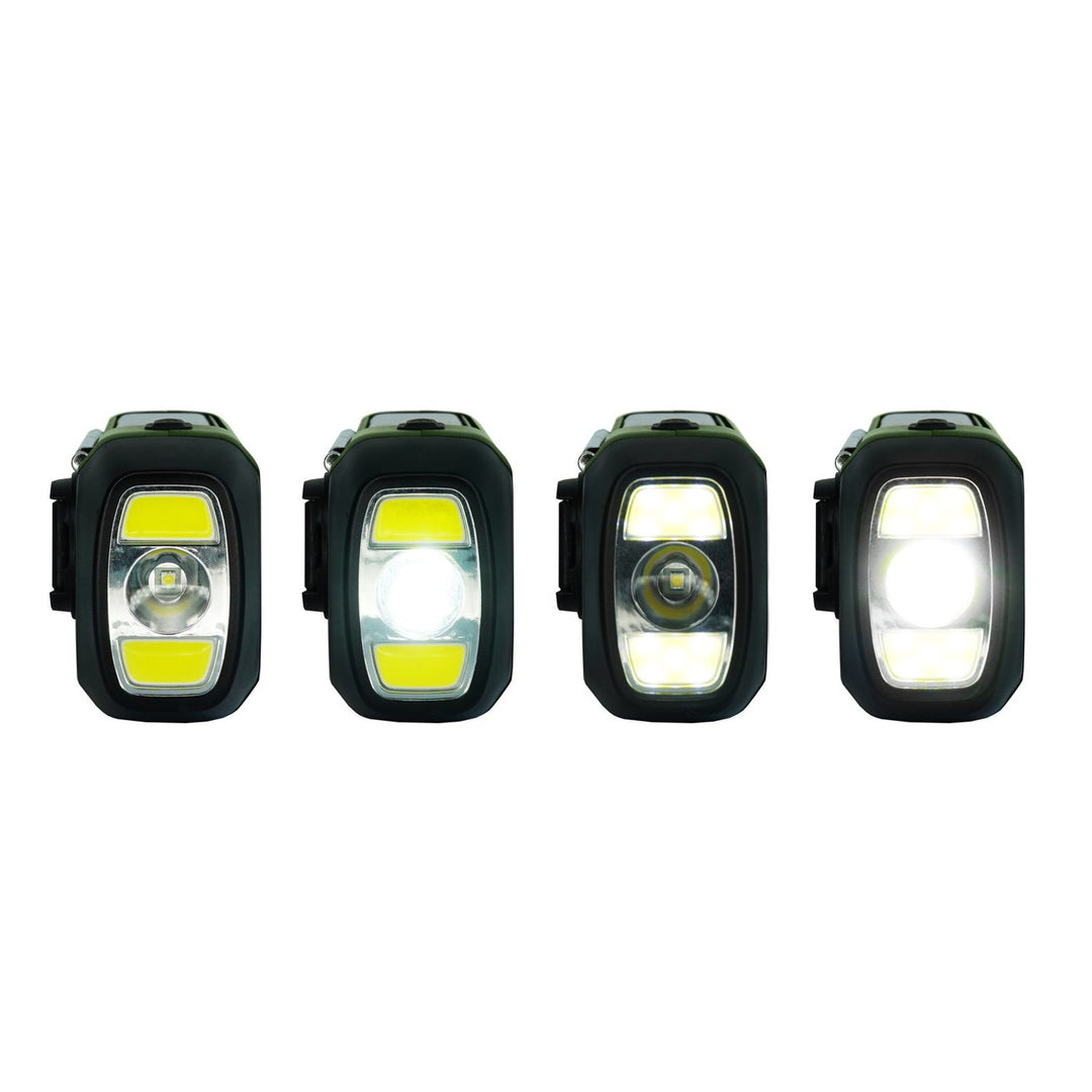 Blaupunkt FM-noodradio, LED-zaklamp, leeslampje, drievoudig oplaadsysteem, SOS-alarm, ER20GC