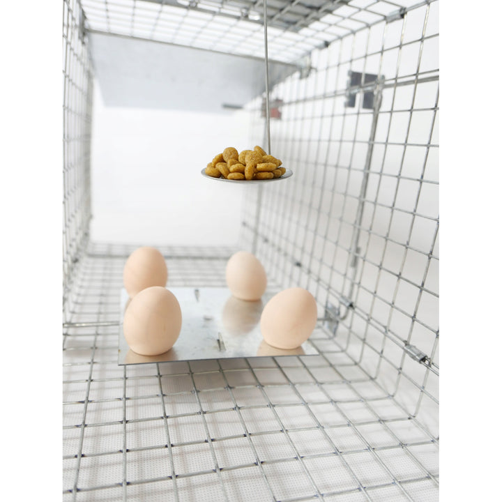 Levendvangstval, val voor marter, ratten, muizen, nertsen, wezels, Viano P1