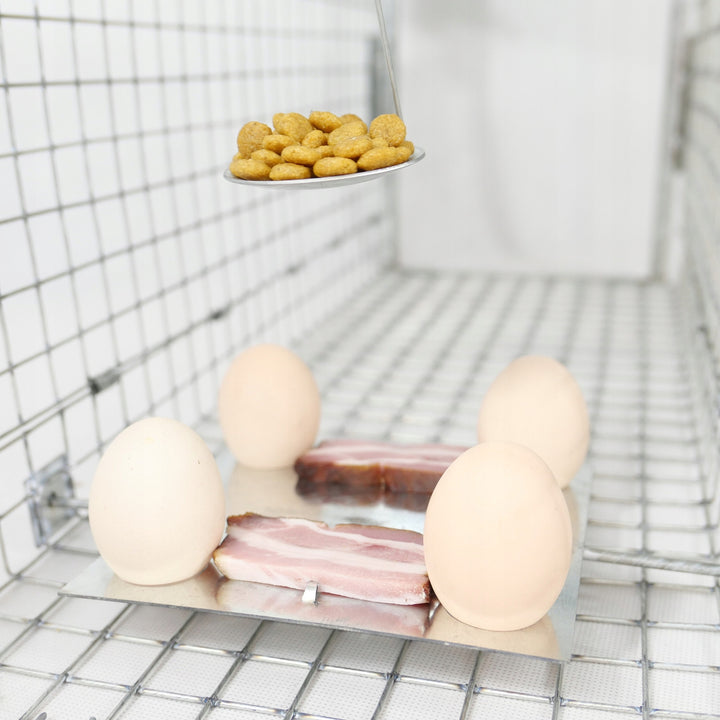 Levendvangstval, val voor marter, ratten, muizen, nertsen, wezels, Viano P1