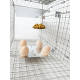 Levendvangstval, val voor marter, ratten, muizen, nertsen, wezels, Viano P1, 2 stuks