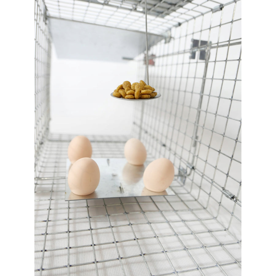 Levendvangstval, val voor marter, ratten, muizen, nertsen, wezels, Viano P1, 2 stuks