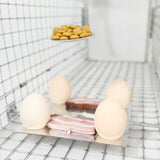 Levendvangstval, val voor marter, ratten, muizen, nertsen, wezels, Viano P1, 2 stuks