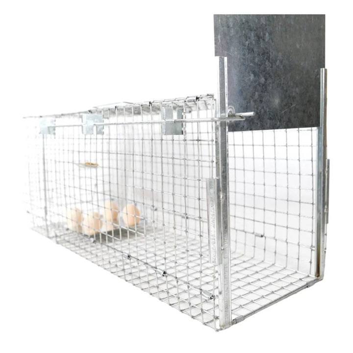 Levendvangstval, val voor marterdieren, ratten, muizen, nertsen, wezels, Viano P2, 2 stuks