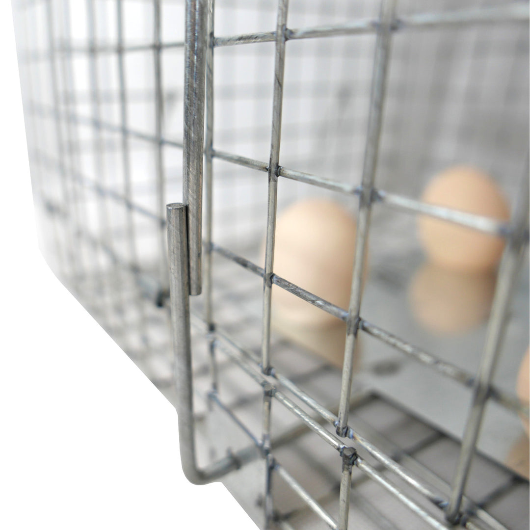 Levendvangstval, val voor marterdieren, ratten, muizen, nertsen, wezels, Viano P2, 2 stuks