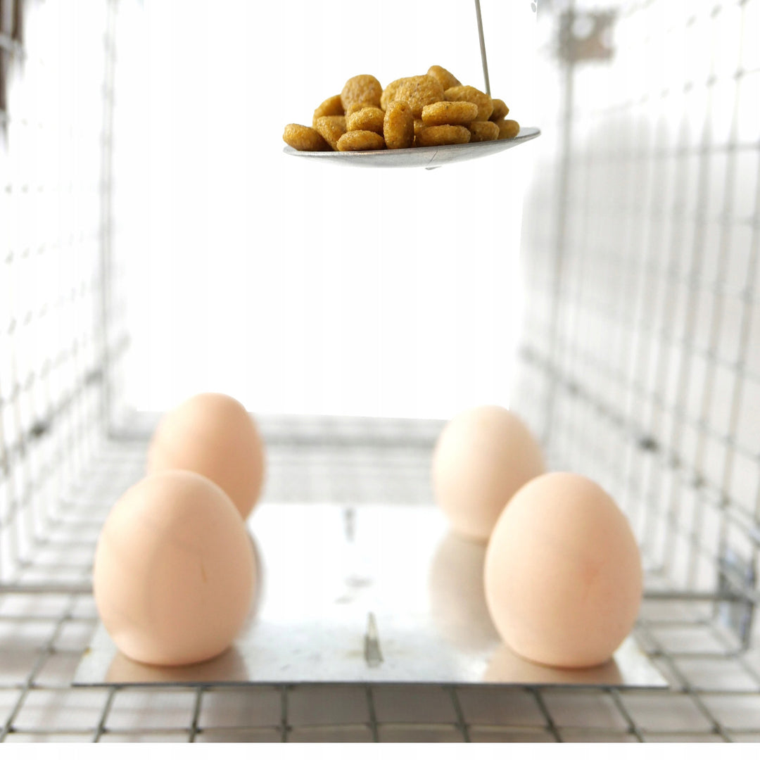 Levendvangstval, val voor marterdieren, ratten, muizen, nertsen, wezels, Viano P2, 2 stuks