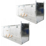 Levendvangstval, val voor marterdieren, ratten, muizen, nertsen, wezels, Viano P2, 2 stuks