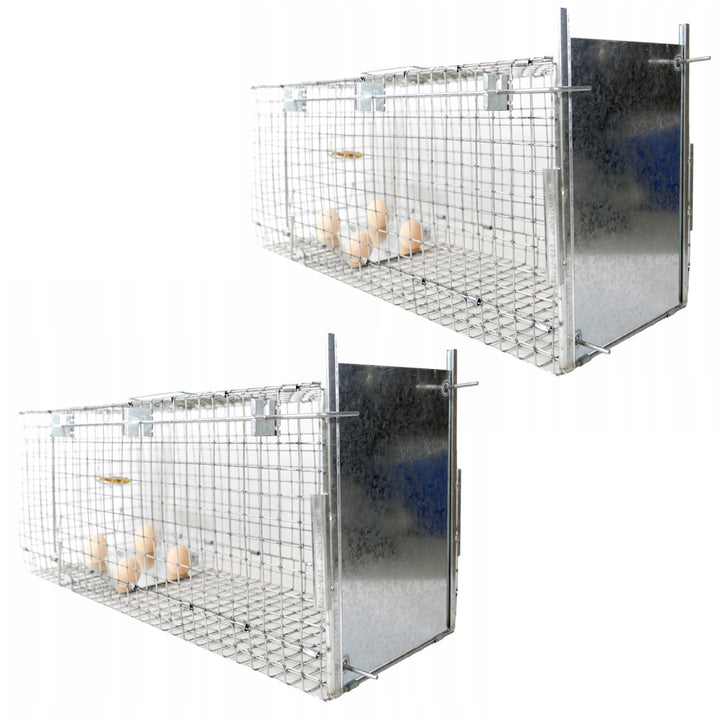 Levendvangstval, val voor marterdieren, ratten, muizen, nertsen, wezels, Viano P2, 2 stuks