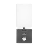 Maclean LED-lamp met bewegingssensor, PIR-bewegingssensor, kleur grijs, 10 W, IP65, 800 lm, neutraal wit (4000 K) MCE516 GR, 2 stuks