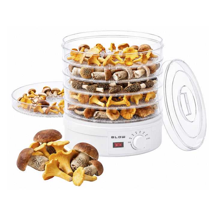 Blow-droger voor paddenstoelen, groenten en fruit, vermogen 500 W, inclusief 6 roosters, temperatuurregeling 35-75 °C, 44-175