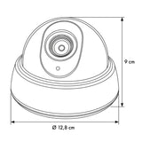 DC2300 dome-vormige nepcamera met knipperende LED, 2 stuks + 6 AA-batterijen van Varta Industrial