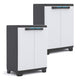 Keter gereedschapskast/tuinkast, verstelbare plank, dubbele deuren met handgrepen, weerbestendig, 240865, 2 stuks