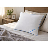 Anti-allergisch slaapkussen 70x80 met ritssluiting, Pro Sleep