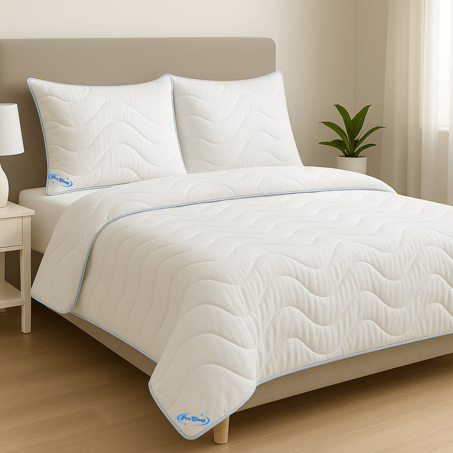 Antiallergisch gewatteerd winterdekbed 200x200 cm + 2 kussens van ProSleep