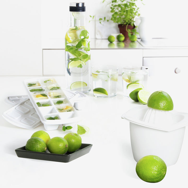 Plast Team kunststof ijsblokjesbakje, met deksel, wit